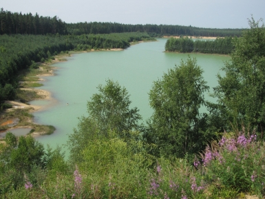 Spontaneous succession at the Cep II sand-gravel pit near the bank line, followed by rows of planted pine trees - forest reclamation