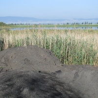 Ash settling wastepond Hodějovice-Srubec