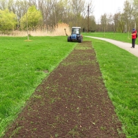 Founding the strips (Stromovka park)