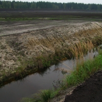 Peat bog mined to the very mineral substrate - heavily drained locality